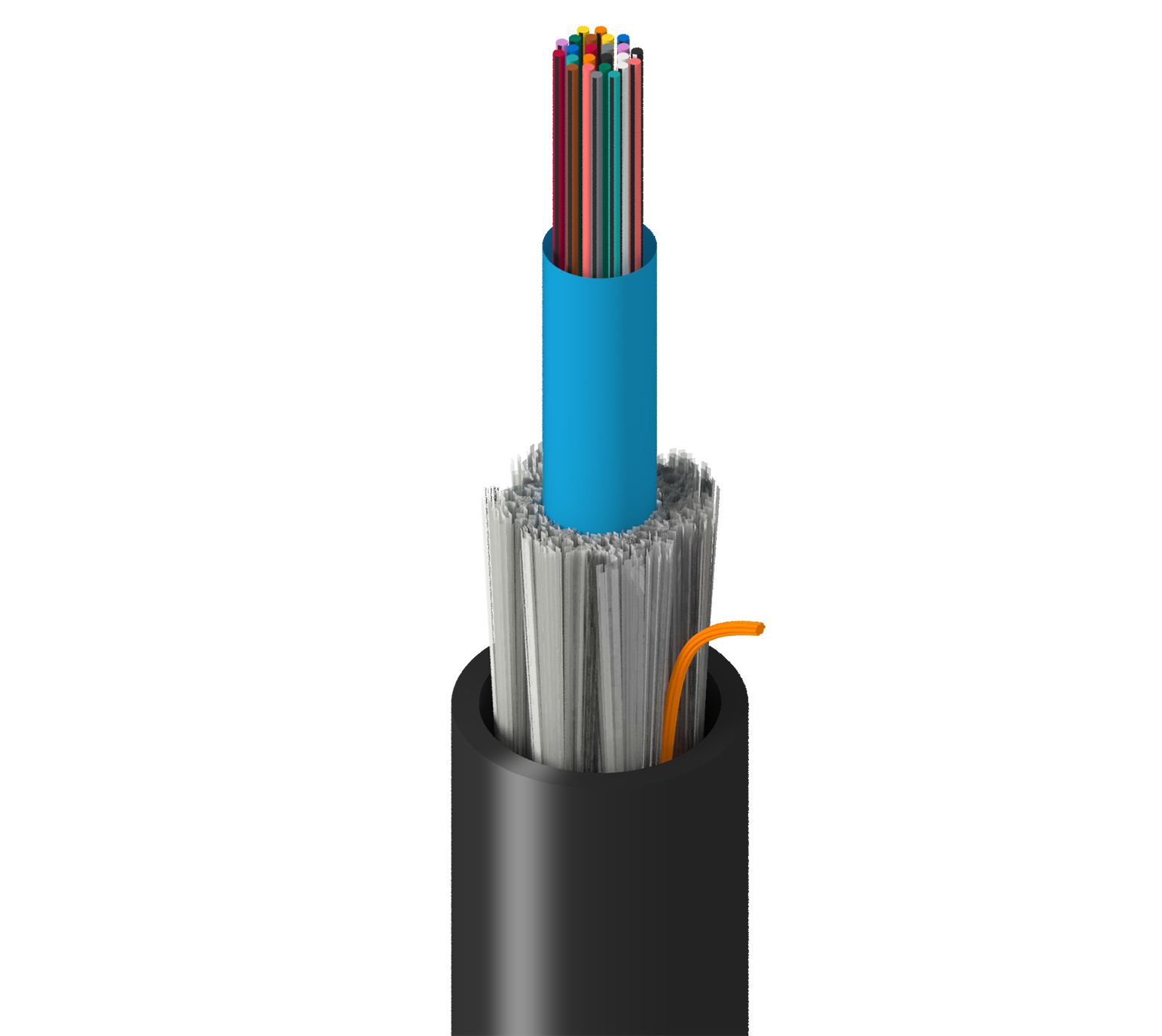 TT-SCN-024-LRN
