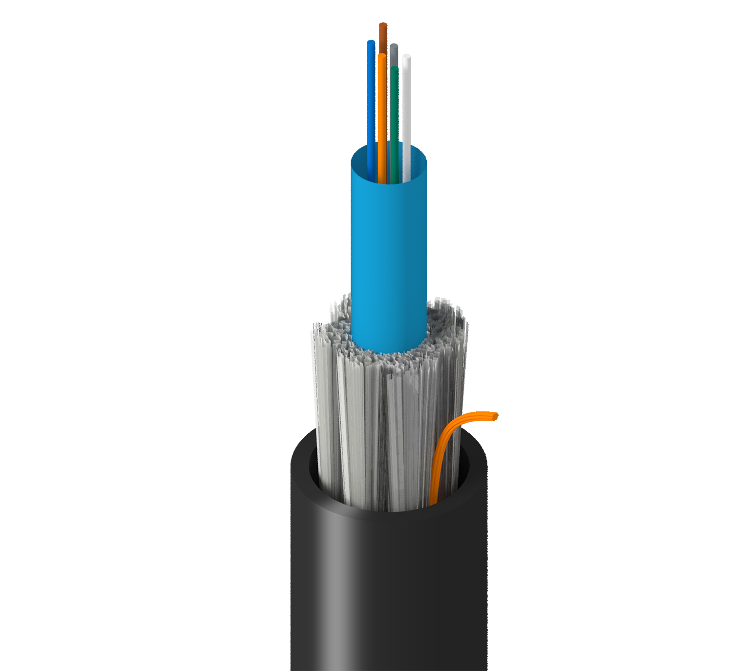 TF-3C0-006-RR5
