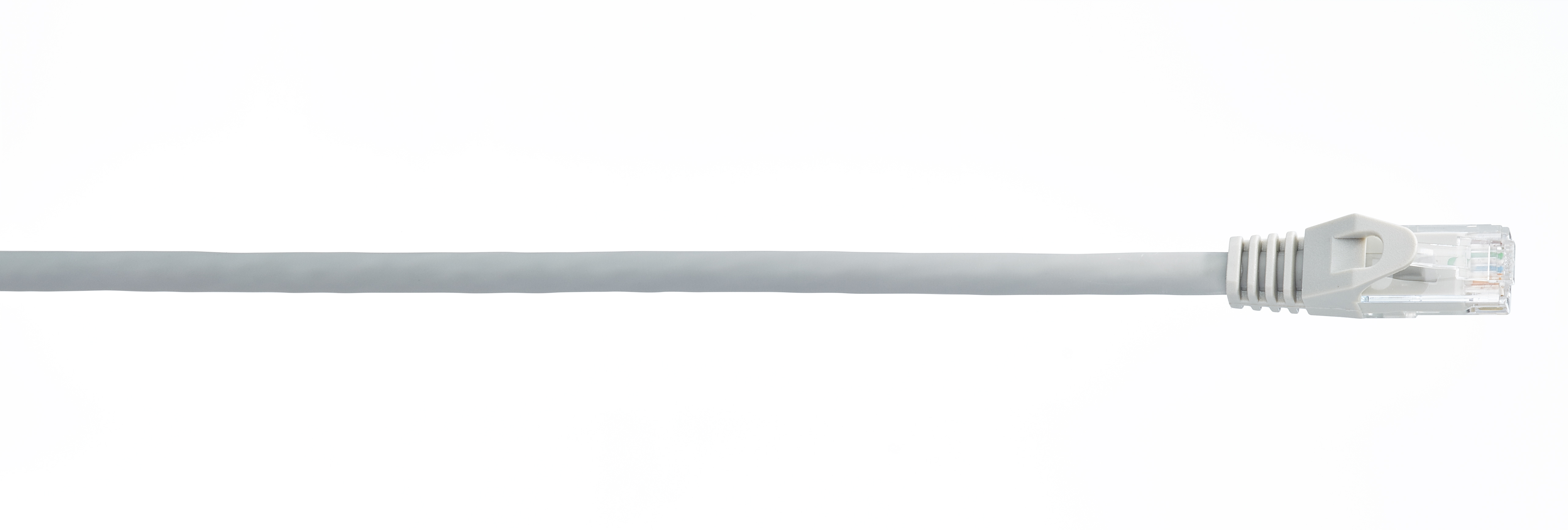 Cordon de raccordement UTP WireNet CAT6