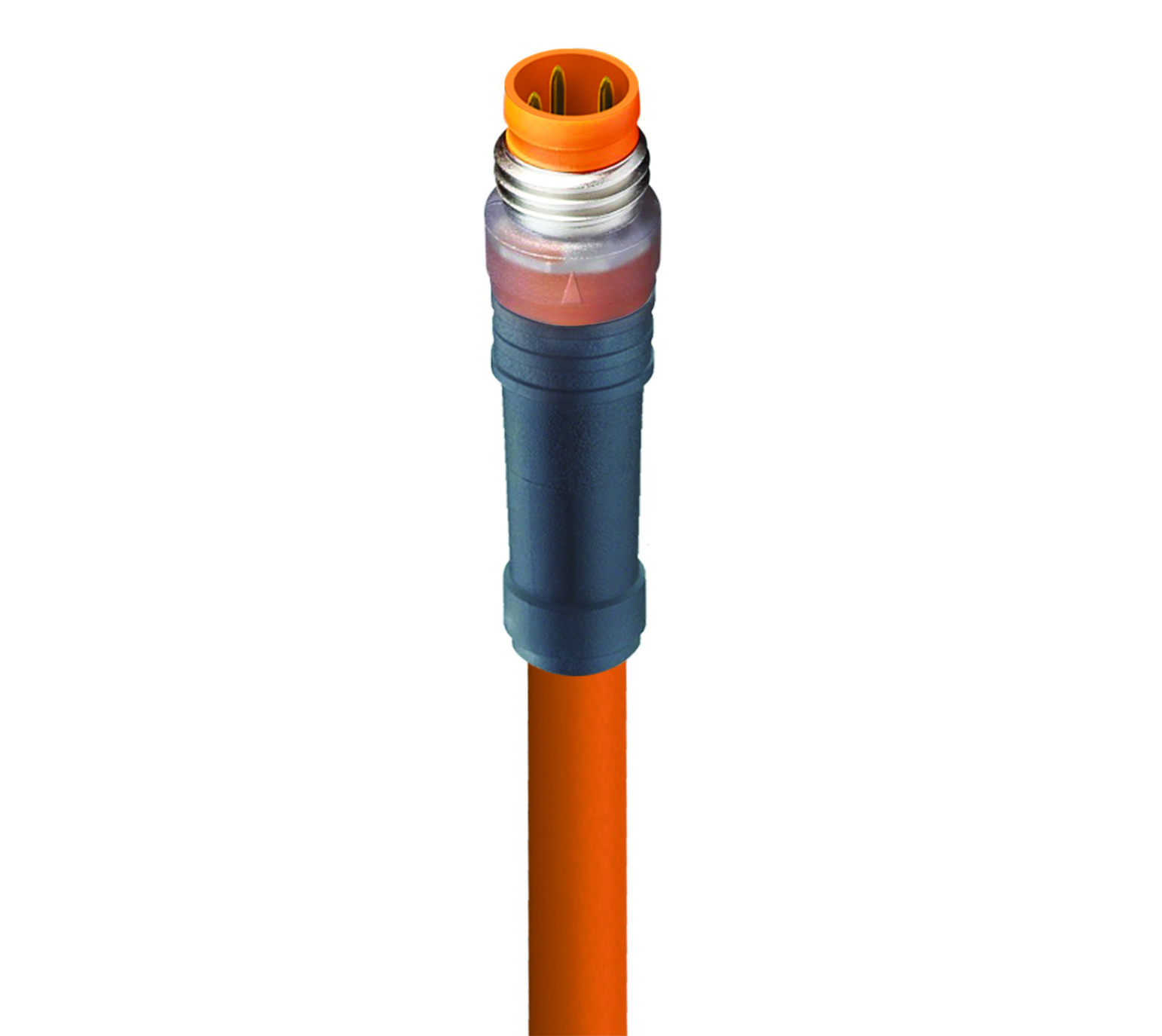 RSM 3-06