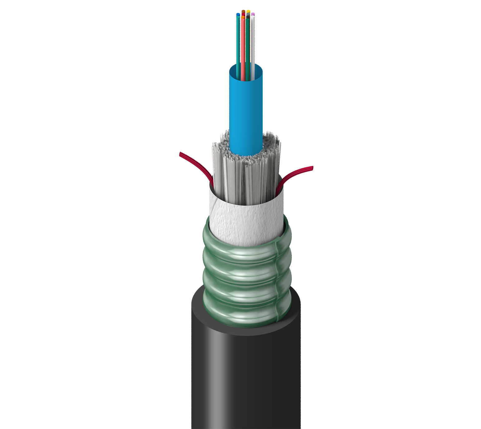 TT-SCN-012-LSN