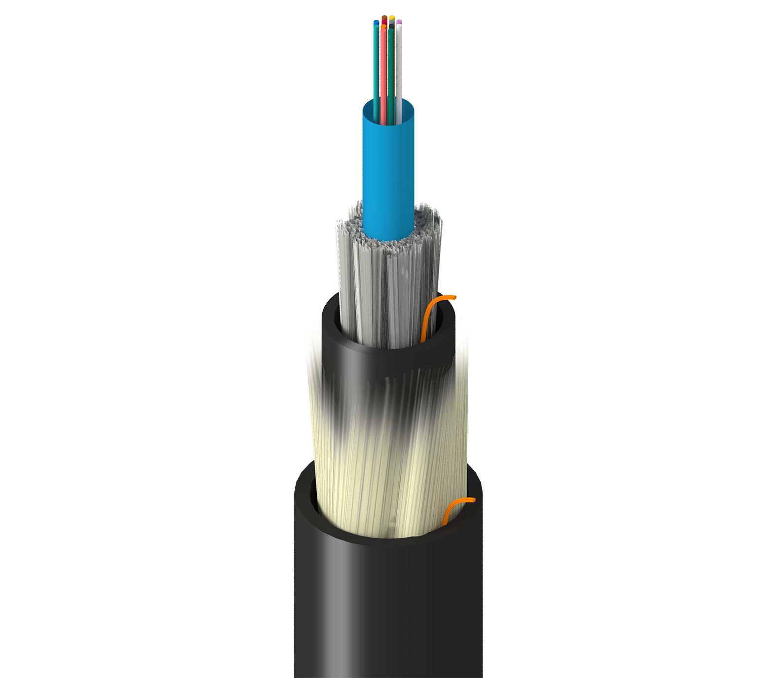 TF-SC0-012-RX5