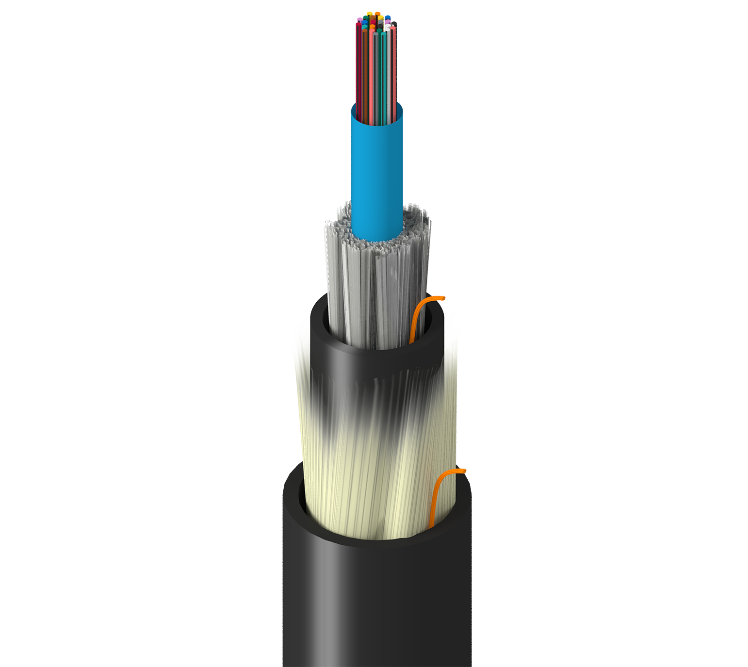 TF-SC0-024-RX5