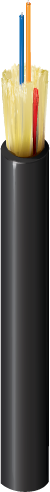 B96566